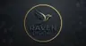 Profile picture of Raven Digital
