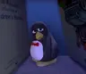 Profile picture of penguinlvr